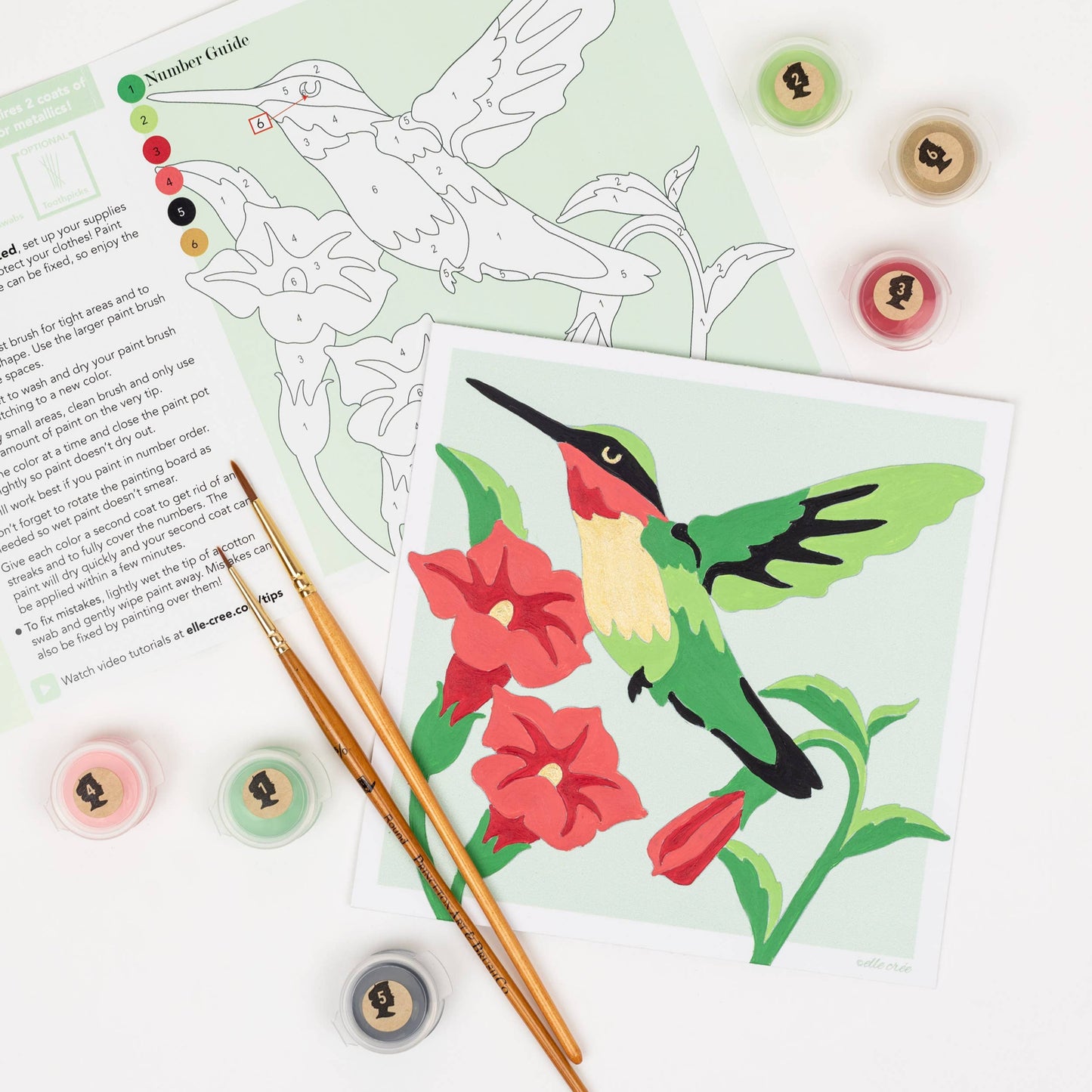 Hummingbird MINI Paint-by-Number Kit