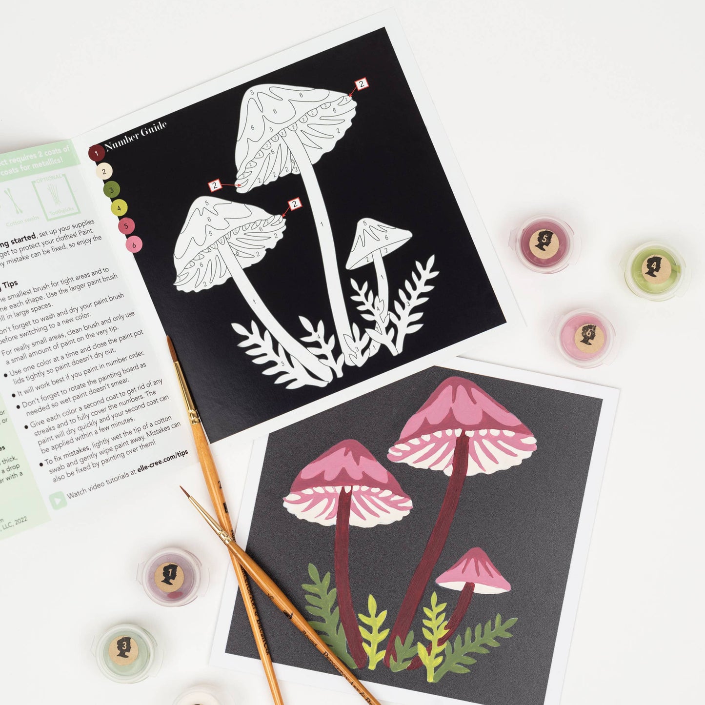Bleeding Fairy Helmet Mushrooms MINI Paint-by-Number Kit